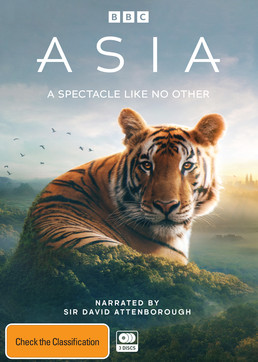 Asia (DVD)